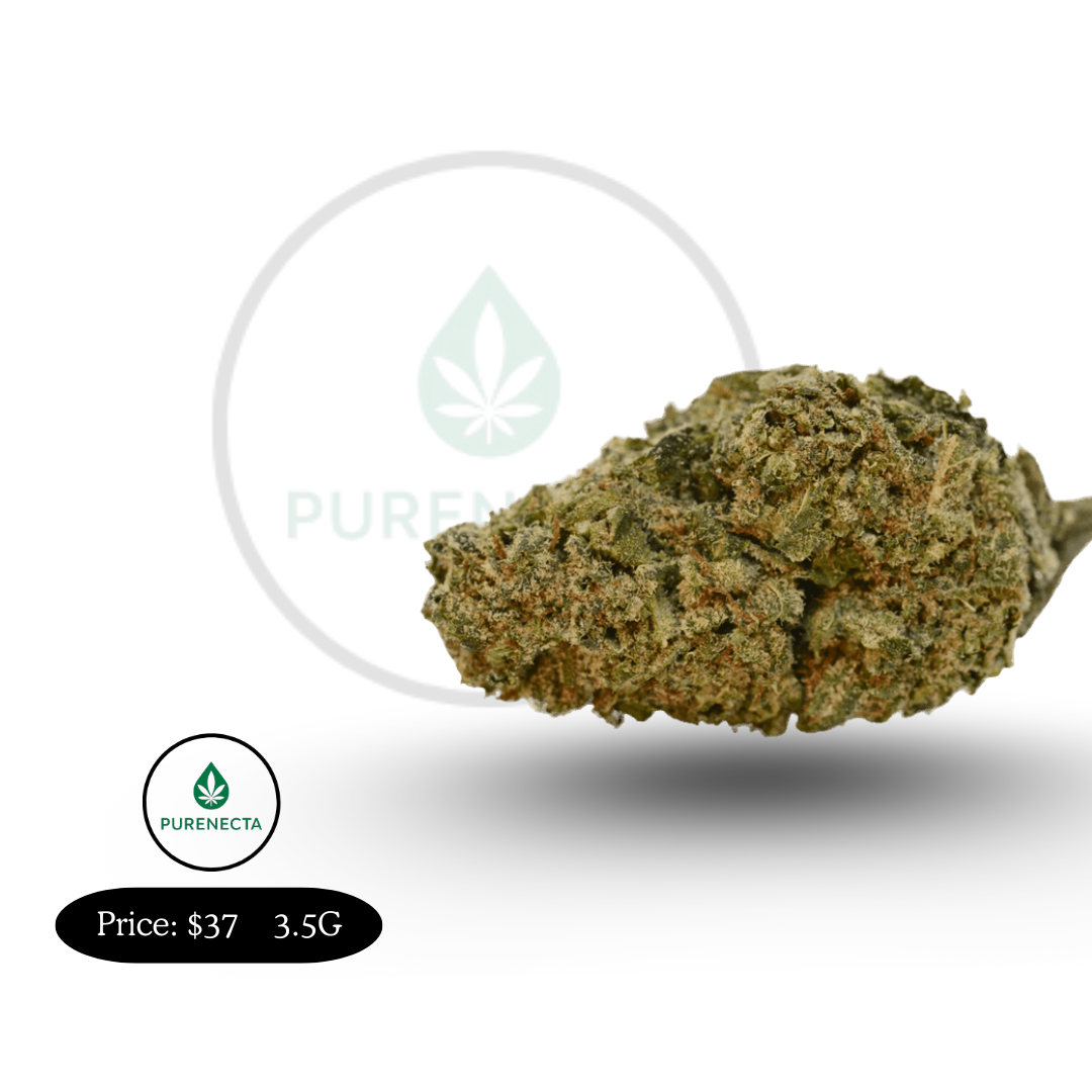 Northern Lights Indica Strain