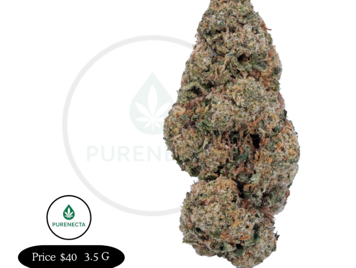 Girl Scout Cookies Premium THC Strain for Euphoric Relaxation