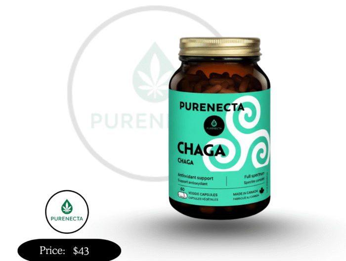 Chaga Capsules 120