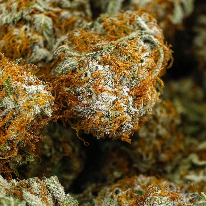 Best Sour Diesel Seeds