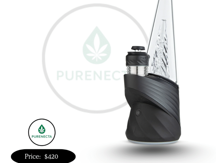 Puffco Peak Pro