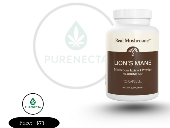 Lion’s Mane Mushroom Kit