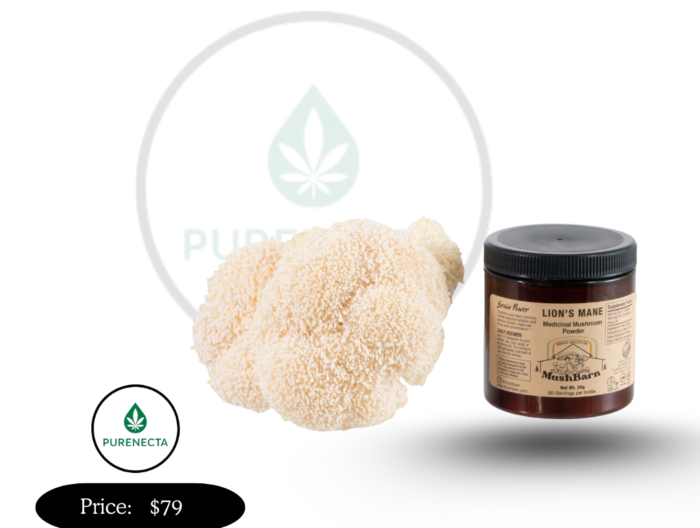 Dried Lion’s Mane Mushroom