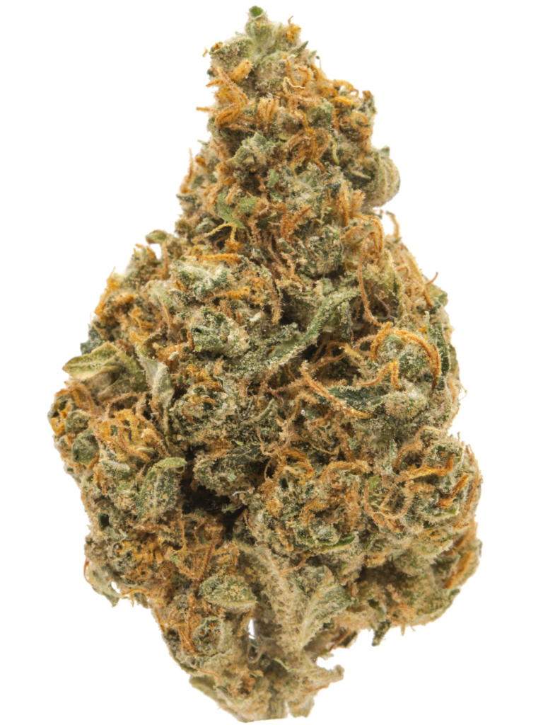 ny sour diesel strain