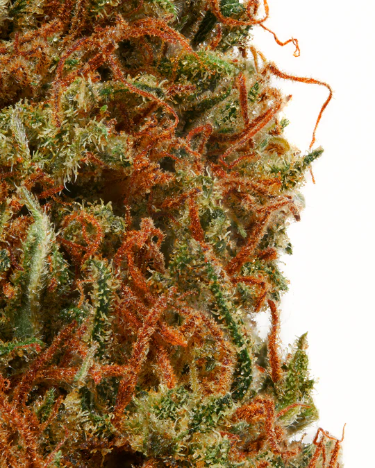 Wedding Cake Marijuana Strain