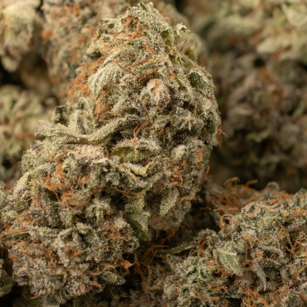 best marijuana strain