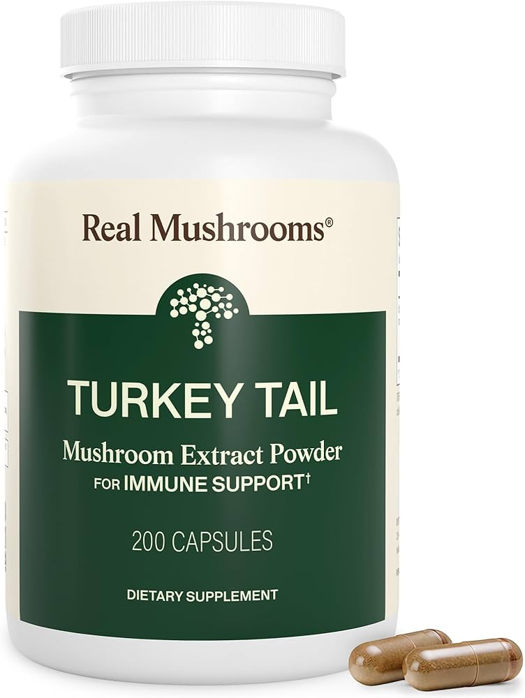 best turkey tail mushroom capsule