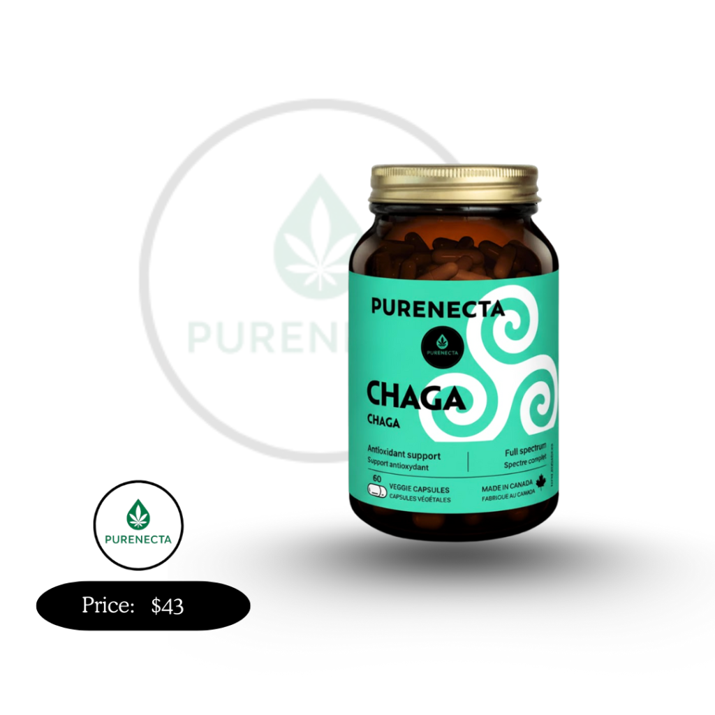 chaga mushroom capsules